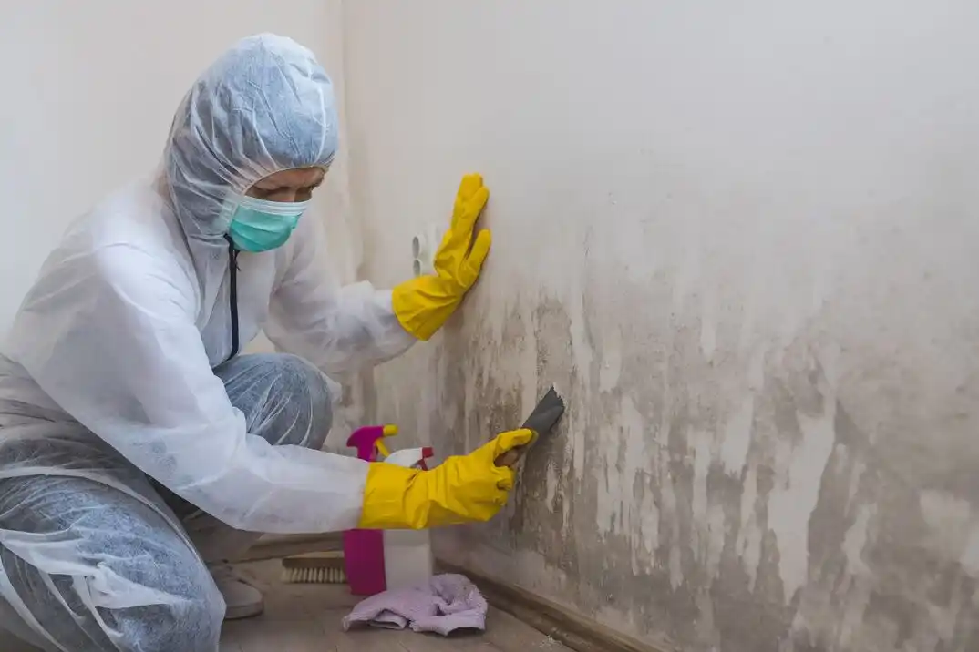water damage restoration service Paseo Arts District